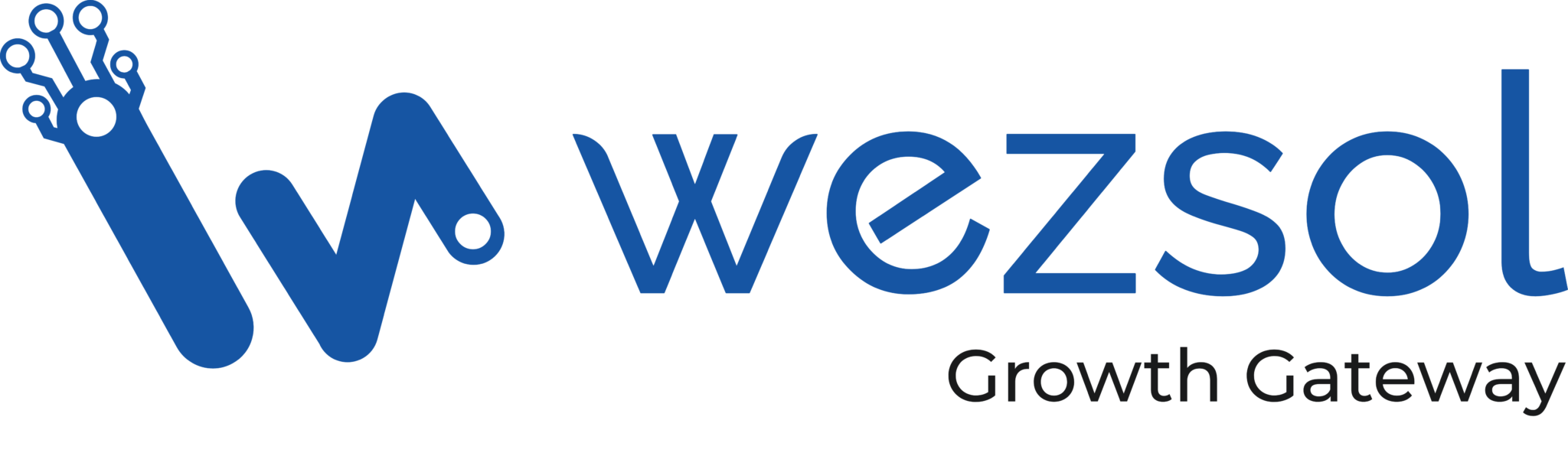 wezsol software development company